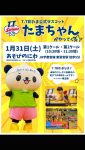 久喜市屋内型こどもの遊び場(あそびのにわ)

『T.T彩たま』が遊び場に上陸するぞーー‼️‼️

当日は公式マスコットのたまちゃんが遊びに来るよ🐼
たまちゃんからのプレゼント🎁もあるかも…✨️　

みんなでT.T彩たまを応援しよう📣

みんなぜひ遊びに来てね！

#卓球 #遊び場 #さいたま