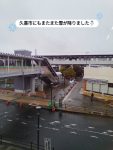 久喜市屋内型こどもの遊び場(あそびのにわ)

久喜市にもまたまた雪が降りましたー！
朝から雨になったり雪になったり…ぱっとしないお天気☁☔❄

そんな日もあそびのにわでは元気に遊べるよー！
遊び場からはいつもと違う景色が見れるかも🤭✨️

みんなも遊び場に遊び来てね♪

※※※※※※※※※※※※※※※※※※※※※※※※※※※※※※※※

埼玉県久喜市桜田3丁目2-1

JR東鷲宮駅　東口　ヤオコー東鷲宮店2階

⚫︎駐車場は商業施設となります。

　・屋内型こどもの遊び場の利用者は3時間

　　まで無料

　・その後は1時間あたり200円です。

⚫︎平日の最終受付は16:30となります。

⚫︎土日祝の最終受付は18:30となります。

※※※※※※※※※※※※※※※※※※※※※※※※※※※※※※※※

#ボーネルンド

#久喜

#屋内遊び場 

#雨の日の過ごし方 

#寒い日の過ごし方